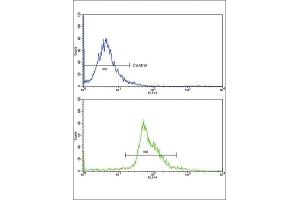 Flow Cytometry (FACS) image for anti-Paired Box 4 (PAX4) antibody (ABIN3002750) (PAX4 抗体)