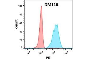 Flow cytometry analysis with Anti-OX40 (DM116) on Expi293 cells transfected with human OX40 (Blue histogram) or Expi293 transfected with irrelevant protein (Red histogram). (TNFRSF4 抗体  (AA 29-216))