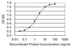 Detection limit for recombinant GST tagged MB is 0. (Myoglobin 抗体  (AA 2-100))