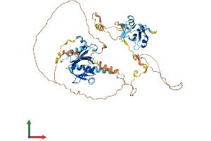 Protein Structure (PS) image for SHC (Src Homology 2 Domain Containing) Transforming Protein 2 (SHC2) (AA 1-582) protein (His tag) (ABIN7545979)