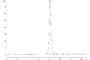 Size-exclusion chromatography-High Pressure Liquid Chromatography (SEC-HPLC) image for UL16 Binding Protein 2 (ULBP2) (AA 26-217) protein (His-Avi Tag,Biotin) (ABIN7275816)