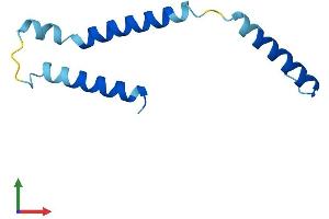 AlphaFold protein structure predicition of Human Recombinant DPM3 Protein, UniprotID Q9P2X0