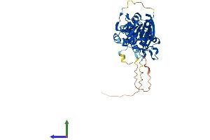 Protein Structure (PS) image for HEN1 Methyltransferase Homolog 1 (HENMT1) (AA 1-393) protein (His tag) (ABIN7548274)