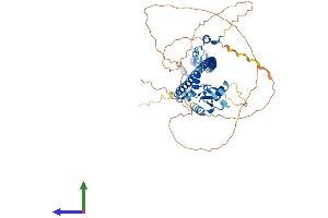 Protein Structure (PS) image for Tripartite Motif Containing 55 (TRIM55) (AA 1-548) protein (His tag) (ABIN7544802)