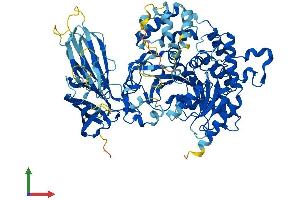 Protein Structure (PS) image for Phospholipase A2, Group IVB (Cytosolic) (PLA2G4B) (AA 1-782) protein (His tag) (ABIN7562806)