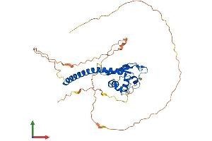 Protein Structure (PS) image for TSPY-Like 1 (TSPYL1) (AA 1-379) protein (His tag) (ABIN7562673)