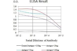 Black line: Control Antigen (100 ng),Purple line: Antigen (10 ng), Blue line: Antigen (50 ng), Red line:Antigen (100 ng) (LRP4 抗体  (AA 21-189))