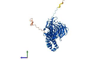 Protein Structure (PS) image for Kelch-Like 21 (KLHL21) (AA 1-597) protein (His tag) (ABIN7554350)