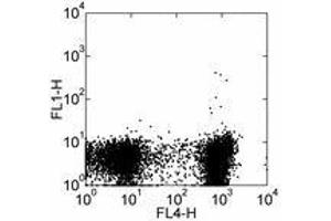 Image no. 2 for anti-Sialophorin (SPN) antibody (FITC) (ABIN473770) (CD43 抗体  (FITC))