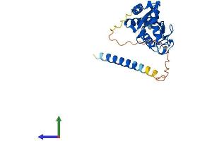 Protein Structure (PS) image for Ubiquitin-Conjugating Enzyme E2, J2 (UBE2J2) (AA 1-259) protein (His tag) (ABIN7544947)