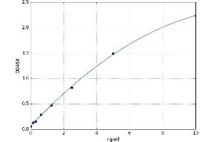 Sestrin 1 (SESN1) ELISA Kit