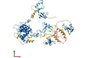 Protein Structure (PS) image for Zinc Finger, FYVE Domain Containing 1 (ZFYVE1) (AA 1-777) protein (His tag) (ABIN7545443)