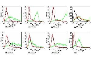 Flow Cytometry (FACS) image for anti-Carcinoembryonic Antigen-Related Cell Adhesion Molecule 5 (CEACAM5) antibody (ABIN108727)