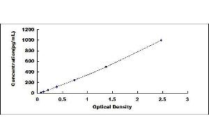 Image no. 1 for Nerve Growth Factor (NGF) ELISA Kit (ABIN5665025) (Nerve Growth Factor ELISA 试剂盒)