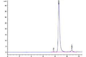 Size-exclusion chromatography-High Pressure Liquid Chromatography (SEC-HPLC) image for Isocitrate Dehydrogenase 1 (NADP+), Soluble (IDH1) (AA 2-414) protein (His tag) (ABIN7274843)