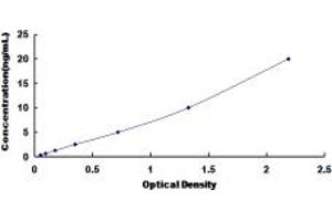 Typical standard curve (NPY1R ELISA 试剂盒)
