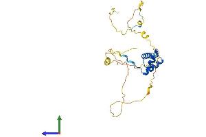 AlphaFold protein structure predicition of Mouse Recombinant Barx1 Protein, UniprotID Q9ER42 (BARX1 Protein (AA 1-254) (His tag))