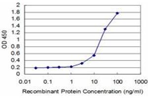 Detection limit for recombinant GST tagged SYN1 is approximately 1ng/ml as a capture antibody. (SYN1 抗体  (AA 362-450))