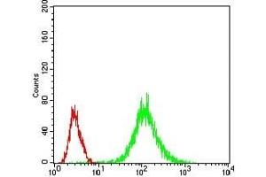 Flow cytometric analysis of Jurkat cells using MAP2K5 mouse mAb (green) and negative control (red).