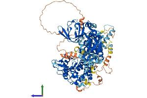 Protein Structure (PS) image for Rap Guanine Nucleotide Exchange Factor (GEF) 3 (RAPGEF3) (AA 1-923) protein (His tag) (ABIN7555282)