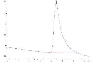Size-exclusion chromatography-High Pressure Liquid Chromatography (SEC-HPLC) image for Placenta Growth Factor (PGF) (AA 19-158) protein (His tag) (ABIN7275447)