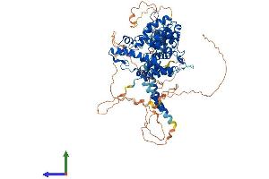 Protein Structure (PS) image for phosphodiesterase 4B, cAMP-Specific (PDE4B) (AA 1-736) protein (His tag) (ABIN7554878)