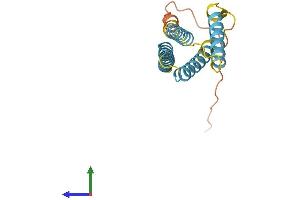 Protein Structure (PS) image for CKLF-Like MARVEL Transmembrane Domain Containing 7 (CMTM7) (AA 1-167) protein (His tag) (ABIN7561464)