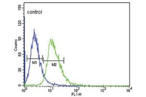 Flow Cytometry (FACS) image for anti-Dopamine Receptor D4 (DRD4) antibody (ABIN3003899) (DRD4 抗体)