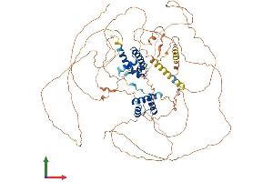 Protein Structure (PS) image for POU Domain, Class 2, Transcription Factor 1 (POU2F1) (AA 1-770) protein (His tag) (ABIN7563008)