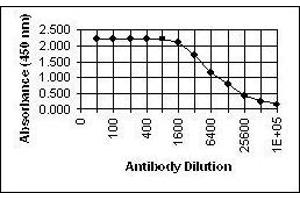 ELISA image for anti-Glycophorin C (GYPC) antibody (ABIN265604) (CD236/GYPC 抗体)