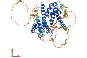 Protein Structure (PS) image for Cyclin J-Like (CCNJL) (AA 1-435) protein (His tag) (ABIN7553051)