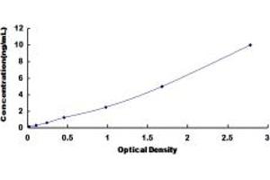 Typical standard curve (FHL1 ELISA 试剂盒)