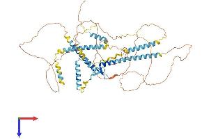 GATAD2B Protein (AA 1-594) (His tag)