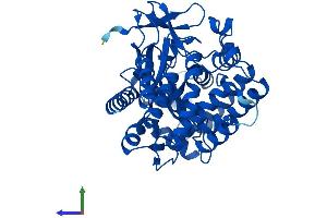 Protein Structure (PS) image for SET and MYND Domain Containing 3 (SMYD3) (AA 1-428) protein (His tag) (ABIN7546107)