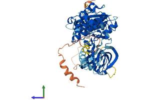 AlphaFold protein structure predicition of Human Recombinant FRK Protein, UniprotID P42685