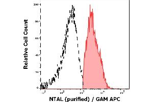Separation of human CD3 negative NTAL positive lymphocytes (red-filled) from CD3 positive NTAL negative lymphocytes (black-dashed) in flow cytometry analysis (intracellular staining) of peripheral whole blood stained using anti-NTAL (NAP-07) purified antibody (concentration in sample 9 μg/mL, GAM APC).