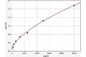 Follistatin-Like 1 (FSTL1) ELISA Kit