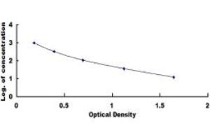 Neurokinin A ELISA Kit
