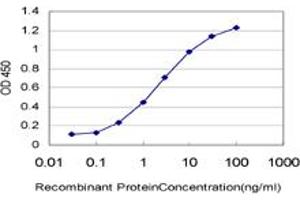 Detection limit for recombinant GST tagged C9orf61 is approximately 0. (FAM189A2 抗体  (AA 383-450))