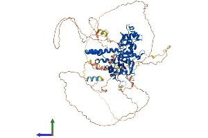 AlphaFold protein structure predicition of Mouse Recombinant Exo1 Protein, UniprotID Q9QZ11