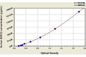 BIRC2 ELISA 试剂盒