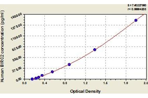 BIRC2 ELISA 试剂盒