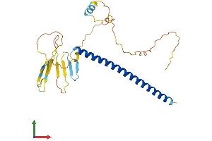 Protein Structure (PS) image for Activating Transcription Factor 1 (AFT1) (AA 1-269) protein (His tag) (ABIN7556747)