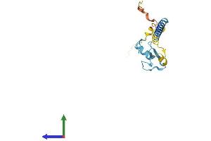 AlphaFold protein structure predicition of Mouse Recombinant Rnf24 Protein, UniprotID Q8BGI1