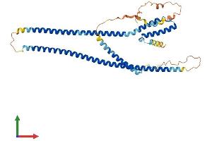 AlphaFold protein structure predicition of Human Recombinant RILPL1 Protein, UniprotID Q5EBL4