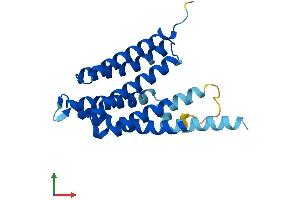 Protein Structure (PS) image for CDP-Diacylglycerol--Inositol 3-Phosphatidyltransferase (CDIPT) (AA 1-213) protein (His tag) (ABIN7553269)