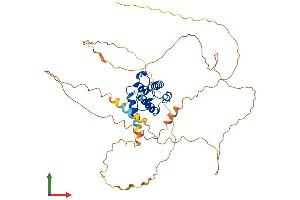 Protein Structure (PS) image for Calponin Homology Associated Smooth Muscle Protein (SMTNL1) (AA 1-459) protein (His tag) (ABIN7560379)