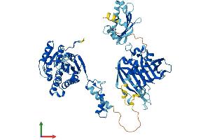 AlphaFold protein structure predicition of Human Recombinant HSD17B4 Protein, UniprotID P51659