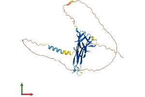 AlphaFold protein structure predicition of Mouse Recombinant Ltb Protein, UniprotID P41155