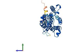 Protein Structure (PS) image for Alkaline Ceramidase 1 (ACER1) (AA 1-273) protein (His tag) (ABIN7559769)
